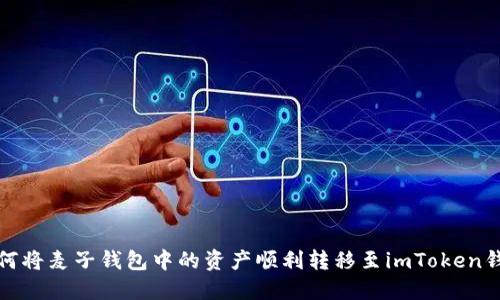 如何将麦子钱包中的资产顺利转移至imToken钱包