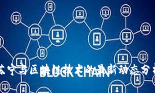苏宁与区块链技术的最新动态分析