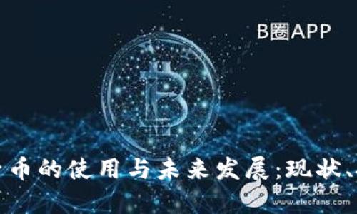 区块链电子币的使用与未来发展：现状、挑战与机遇