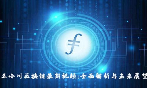 王小川区块链最新视频：全面解析与未来展望