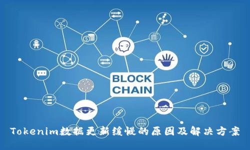 Tokenim数据更新缓慢的原因及解决方案