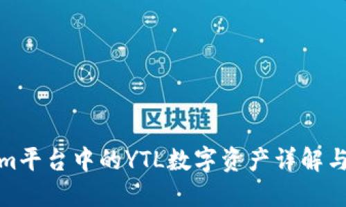 : Tokenim平台中的YTL数字资产详解与投资指南