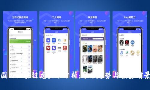 国内区块链龙头币分析：市场趋势与投资前景