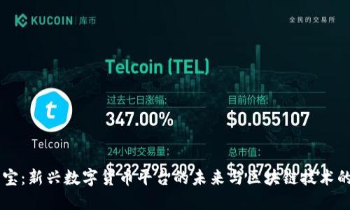 囤币宝：新兴数字货币平台的未来与区块链技术的关系