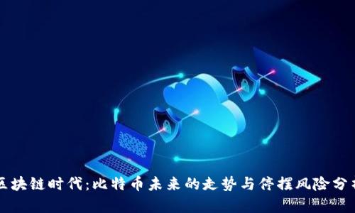 区块链时代：比特币未来的走势与停摆风险分析