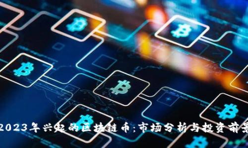 2023年兴起的区块链币：市场分析与投资前景