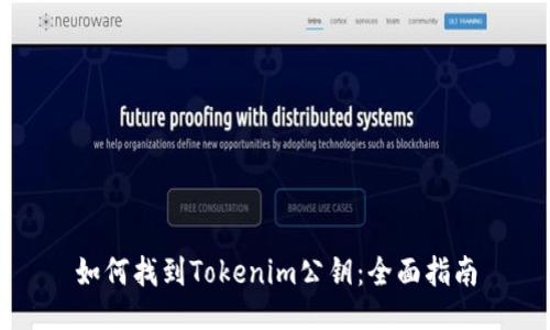 如何找到Tokenim公钥：全面指南