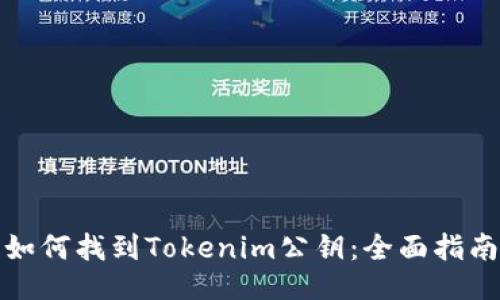 如何找到Tokenim公钥：全面指南
