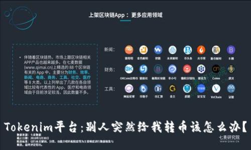 Tokenim平台：别人突然给我转币该怎么办？
