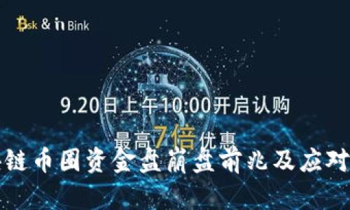 区块链币圈资金盘崩盘前兆及应对策略
