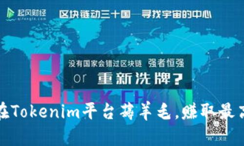 如何在Tokenim平台薅羊毛，赚取最高收益