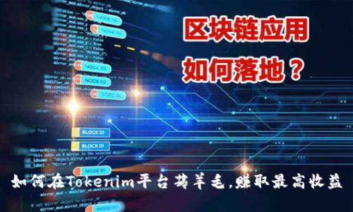 如何在Tokenim平台薅羊毛，赚取最高收益