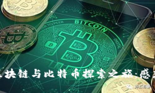 : 我的区块链与比特币探索之旅：感想与体悟
