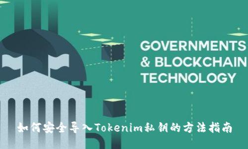 如何安全导入Tokenim私钥的方法指南