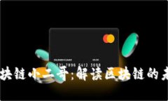币迦索区块链小二哥：解读区块链的未来与潜力