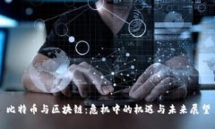 比特币与区块链：危机中的机遇与未来展望