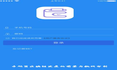 币码翁区块链发展的前景与挑战分析