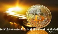 如何在Tokenim平台上存储DASH币：全面指南