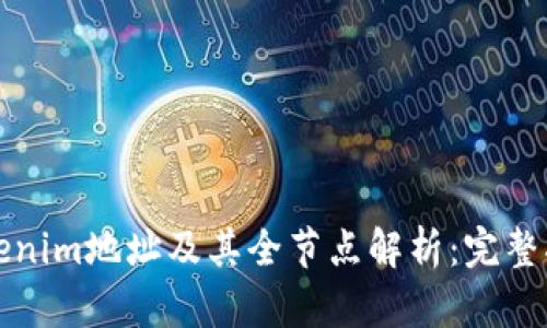 Tokenim地址及其全节点解析：完整指南