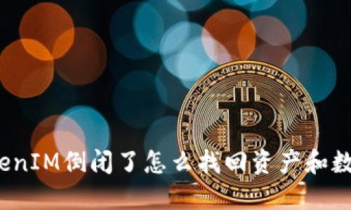 TokenIM倒闭了怎么找回资产和数据？