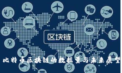 比特币区块链的数据量与未来展望