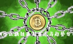 潮水区块链最新消息与趋势分析