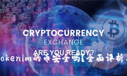能添加到Tokenim的币安全吗？全面评析与投资指南