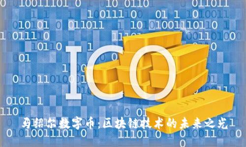 马绍尔数字币：区块链技术的未来之光