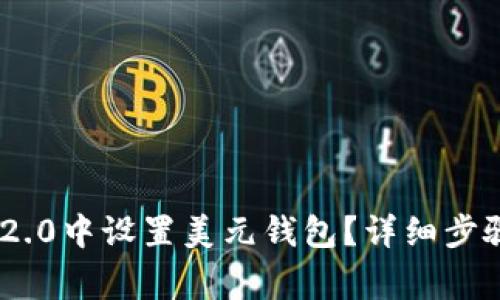如何在imToken 2.0中设置美元钱包？详细步骤与常见问题解答