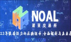 2023年最有潜力的区块链币：全面解析与未来展望