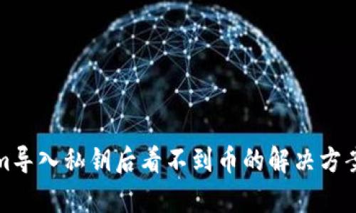 Tokenim导入私钥后看不到币的解决方案与分析
