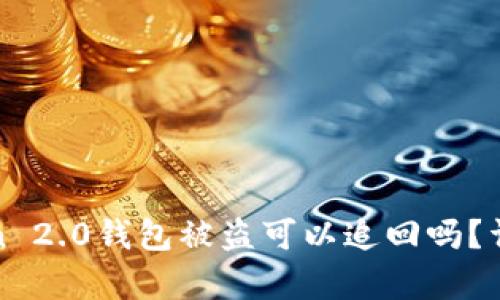 在国内imtoken 2.0钱包被盗可以追回吗?详细解析与建议