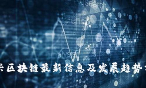 王兴区块链最新信息及发展趋势分析