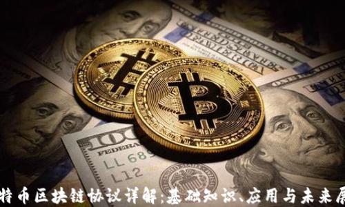 
比特币区块链协议详解：基础知识、应用与未来展望