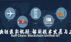 李丰区块链最新视频：解析技术发展与应用趋势