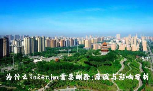 为什么Tokenim需要删除：原因与影响分析
