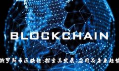 俄罗斯币区块链：探索其发展、应用及未来趋势