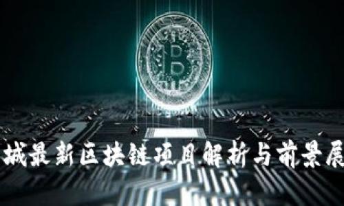 西城最新区块链项目解析与前景展望