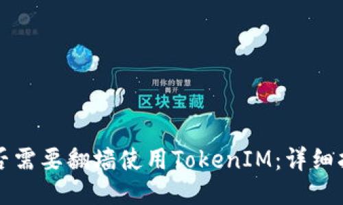 是否需要翻墙使用TokenIM：详细指南