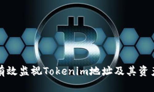 如何有效监视Tokenim地址及其资产动态