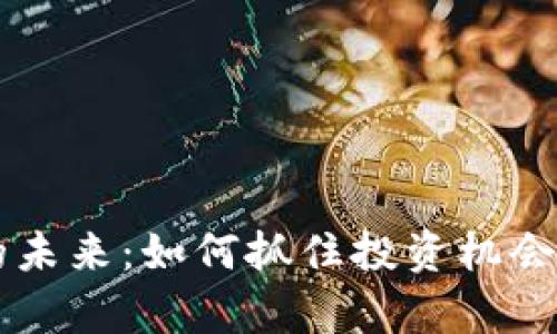 区块链币的未来：如何抓住投资机会与风险分析