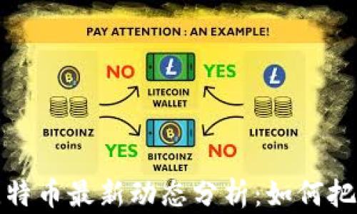 
区块链与比特币最新动态分析：如何把握投资机会