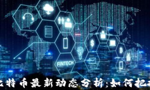 
区块链与比特币最新动态分析：如何把握投资机会