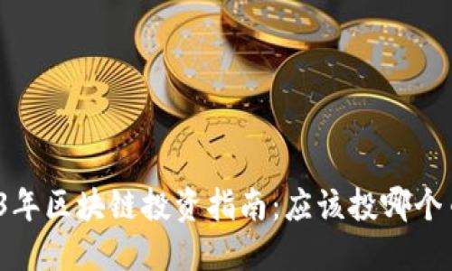 2023年区块链投资指南：应该投哪个币种？