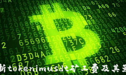 
全面解析tokenimusdt矿工费及其影响因素