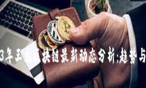 2023年王磊区块链最新动态分析：趋势与发展