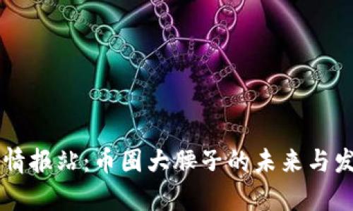 区块链情报站：币圈大腰子的未来与发展分析