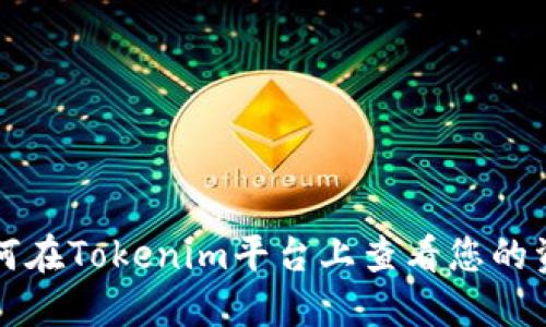 如何在Tokenim平台上查看您的资产