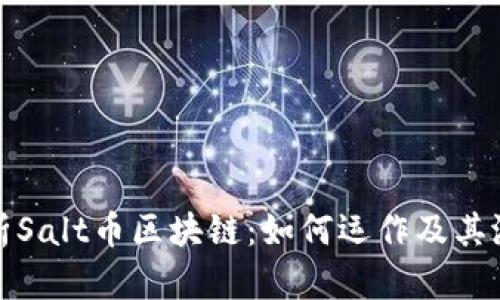 深入解析Salt币区块链：如何运作及其潜在价值