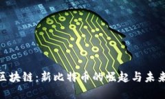 360区块链：新比特币的崛起与未来发展